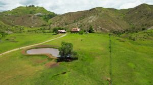 Discover Communal Ranch and Lake Apo: Bukidnon’s Hidden Paradise in Impasug-ong